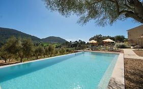 Fincahotel Treurer - Olive Grove & Grand House - Adults Only